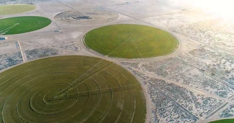 Alfalfa Fields From A Drone Phantom 4 Pro 4k 60FPS Stock Footage 88748833
