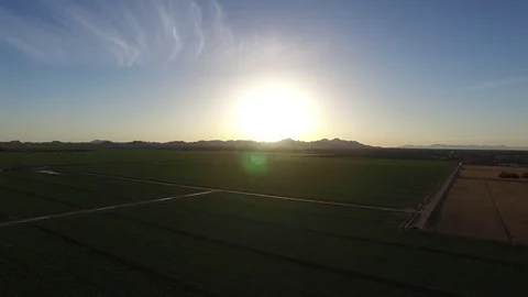 Alfalfa Fields in Rural Town 스톡 동영상 71037340