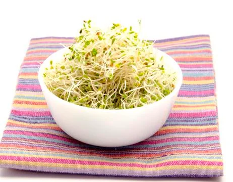Alfalfa Stock Photos