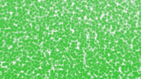 Algae 1 Video stock 219359696