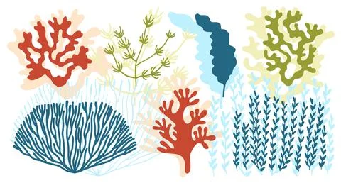 Algae and corals colored set vector Illustrazione stock