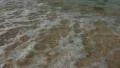 Algae and foam at the beach in low tide water HD Footage