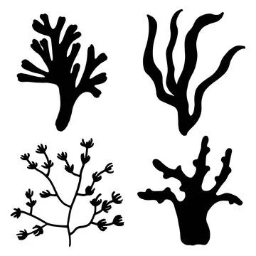 Algae and sea corals different set. silhouette isolated vector Stock-Illustration