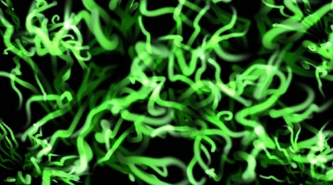 Algae Animation BacKground 25fps Stock Footage 41396725