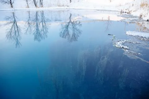 The algae are visible through the water column. Stock Photos