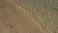 Algae at the beach in low tide water HD Footage