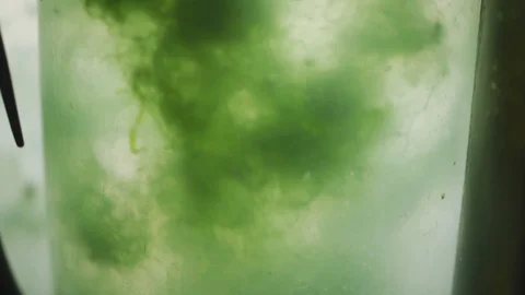 Algae in a biotech lab container for scientific tests in bioenergy  lab Vídeo Stock 112510700