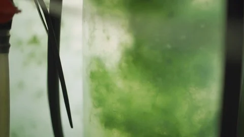 Algae in a biotech lab container for scientific tests Vídeo Stock 112511157
