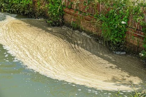 Algae bloom floats on water surface in narrow stream beside a brick wall Foto stock