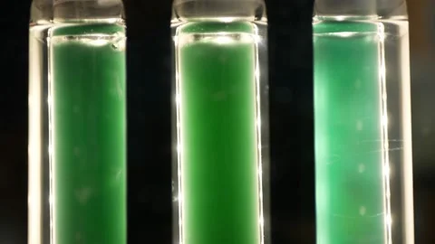 Algae bubbles science reactor, research modern laboratory bioreactor multi Stock Footage 219838733