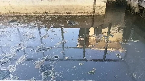 Algae Chunks at Water Treatment Sedimentation Inlet Video stock 327971444