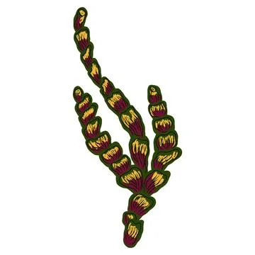 Algae corals in stylized technique. Marine world, texture pencil marker strok Stock Illustration