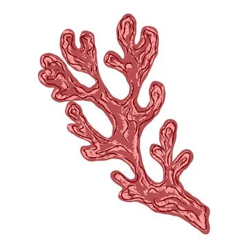 Algae corals in stylized technique. Marine world, texture pencil marker strok Stock Illustration