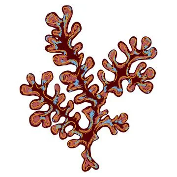 Algae corals in stylized technique. Marine world, texture pencil marker strok Stock Illustration