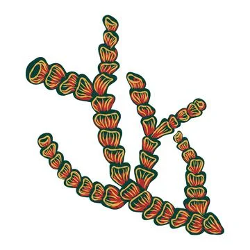 Algae corals in stylized technique. Marine world, texture pencil marker strok Stock Illustration