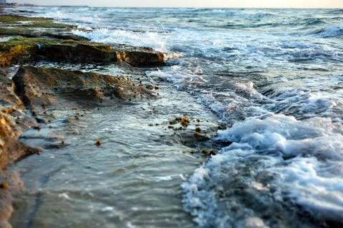 Algae covered beach rocks Stock Photos