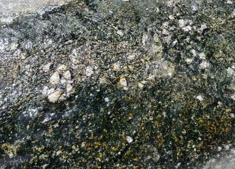 Algae Covered Coastal Rock Texture Stock Photos