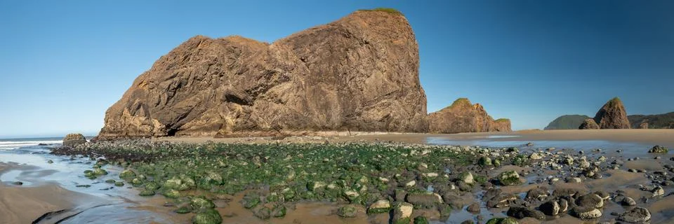 Algae Covered Patch Of Rocks Below Sea Stacks At Meyers Beach In Oregon Stock Photos