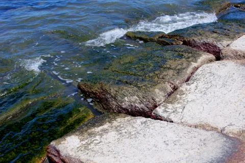 Algae covered rock by ocean Stock Photos