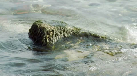 Algae covered Rock_HD Stock Footage 10600548