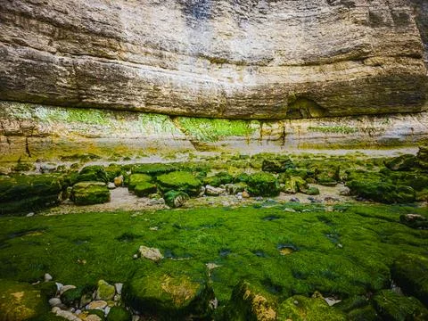 Algae covered rocks and layered coastal cliff at low tide in Normandy France Stock Photos