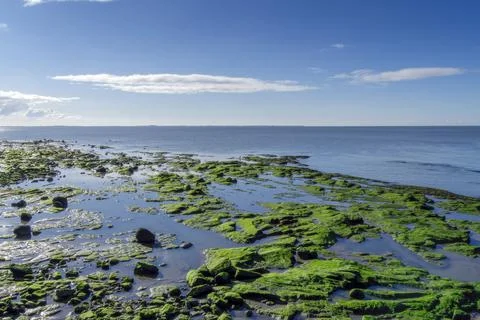 Algae covered rocks at high tide on the edge of Morecambe Bay Stock Photos