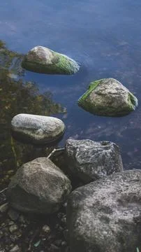 Algae-covered rocks on the shore of the stone shore of the lake Stock Photos