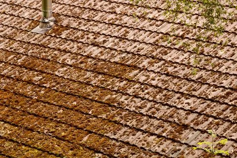 Algae covered rooftop Stock-Fotos