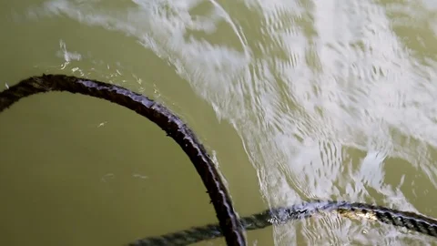 Algae covered rope floating on water Stock Footage 91176485