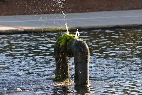 Algae covers a fountain pipe spraying water into a Long Beach lagoon. Stock-Fotos
