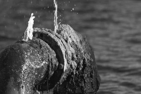 Algae covers a fountain pipe spraying water into a Long Beach lagoon. Stock-Fotos