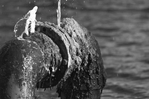Algae covers a fountain pipe spraying water into a Long Beach lagoon. Stock-Fotos