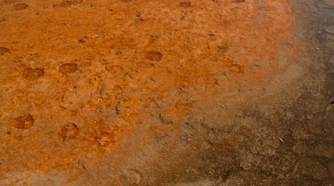 Algae deposits at Grand Prismatic Spring Stock Footage 8678401