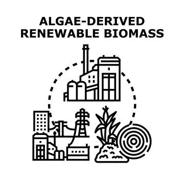 Algae derived renewable biomass energy concept Stock Illustration
