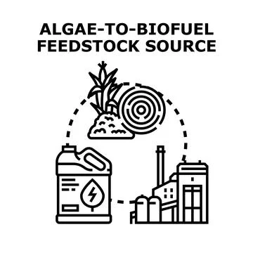Algae developing biofuel feedstock and alternative energy production Stock Illustration