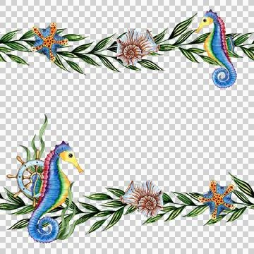 Algae frame seahorse shells and starfish in watercolor Stock Illustration