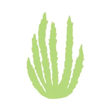 Algae green isolated silhouette. vector sea plant. Illustrazione stock