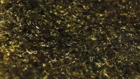 Algae green red sea vegetable vegetables sushi nori. Stock Footage 99645280