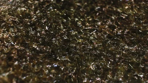 Algae green red sea vegetable vegetables sushi nori. Stock Footage 99645425
