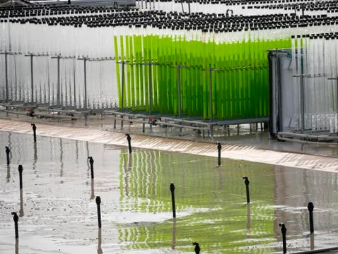 Algae growing farm Stock Photos