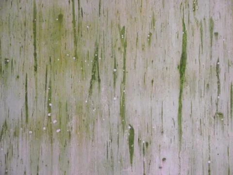 Algae growing on a wall in a kyoto back street Japan Stock Photos