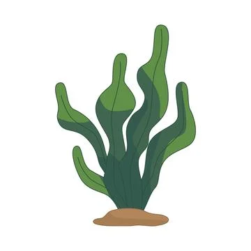 Algae icon isolated on white background. Vector illustration Stock Illustration