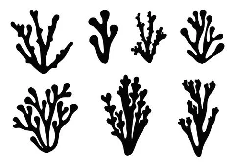 Algae icon set vector Stock-Illustration