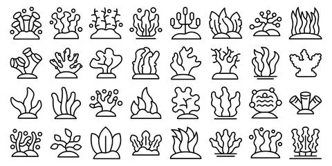 Algae icons set outline vector. Spirulina plant Stock-Illustration