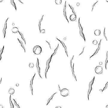 Algae leaves and water bubbles. Marine illustration of the underwater world Stock Illustration