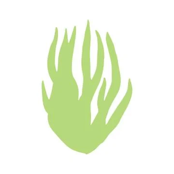 Algae leaves isolated hand drawing. on white background vector sea plant. Stock-Illustration