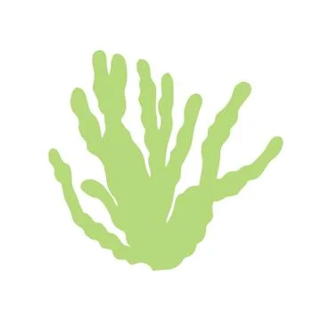 Algae leaves isolated hand drawing. on white background vector. Stock-Illustration
