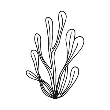Algae leaves. simple sketch vector Stock-Illustration