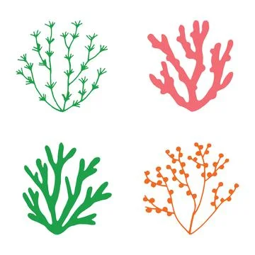 Algae marine set of vector colored sketches Stock-Illustration