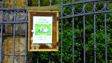 Algae the ocean Irelandwashed up on the shore of Stock Footage 230171219